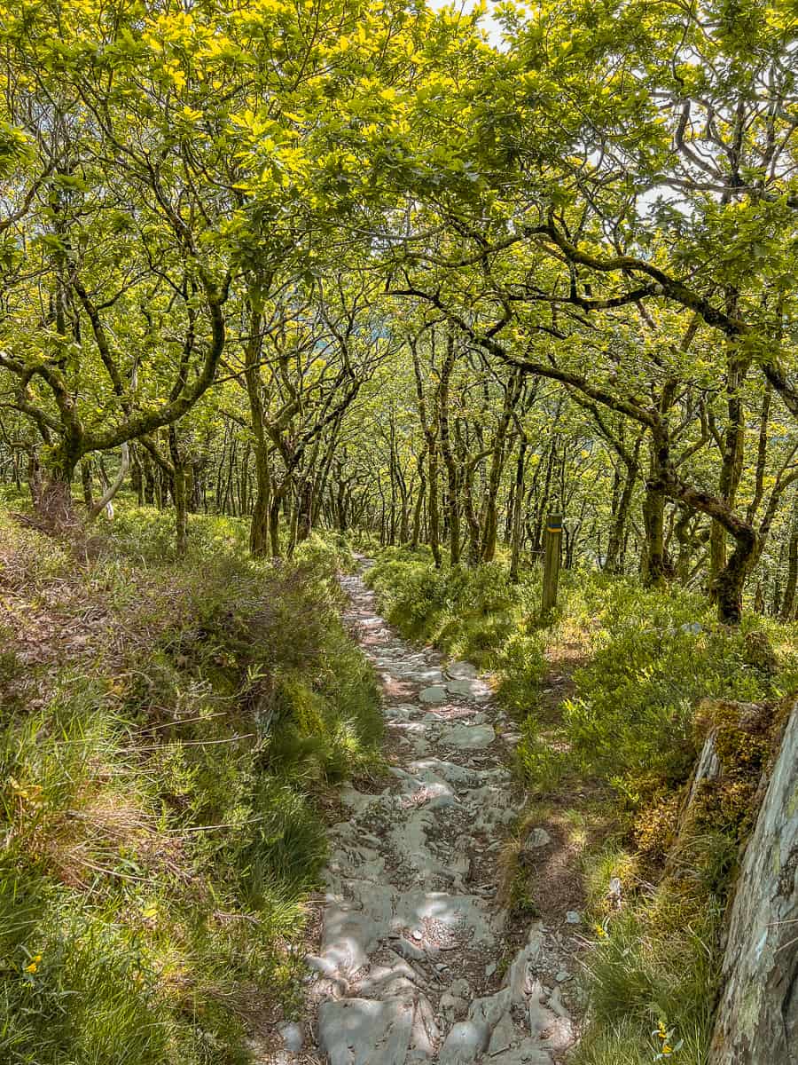 Anglesey Barracks walk