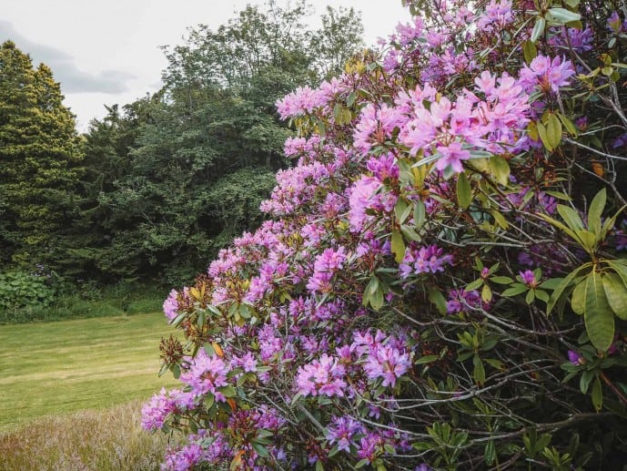 Arniston House Outlander tours