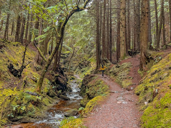 Puck's Glen Walk