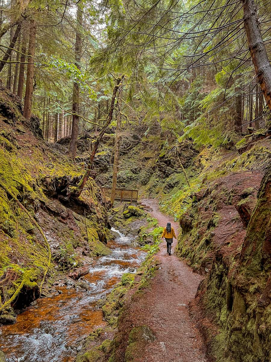 Puck's Glen Walk Scotland