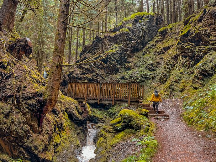 Puck's Glen Walk Scotland