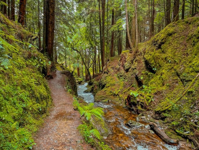 Puck's Glen Scotland