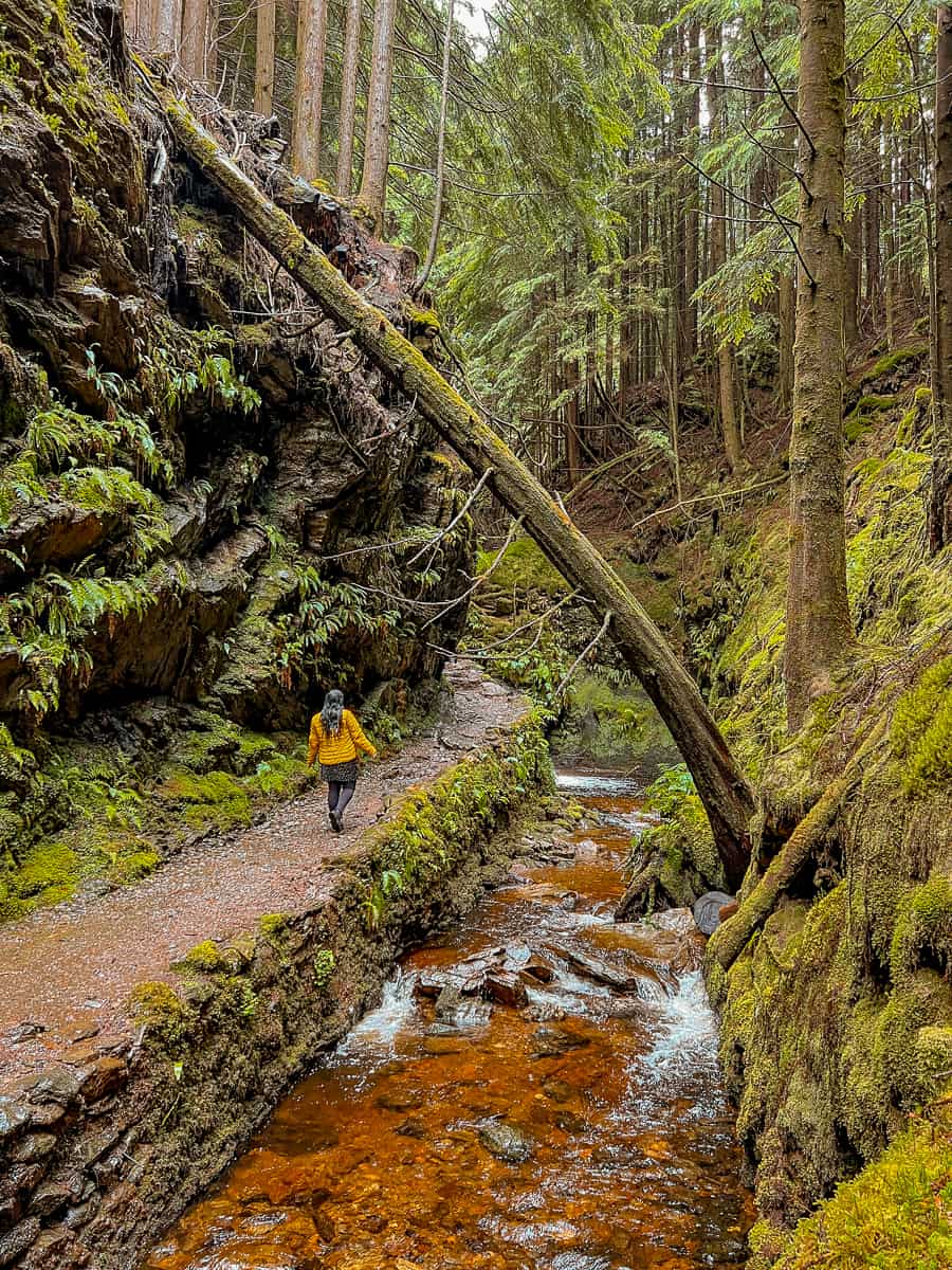 Puck's Glen Walk