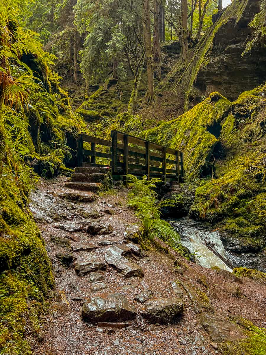 Puck's Glen 