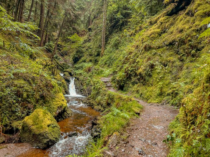 Puck's Glen Walk