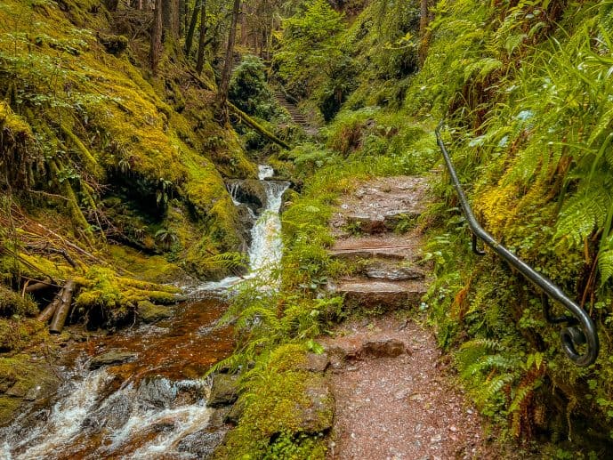 Puck's Glen Scotland