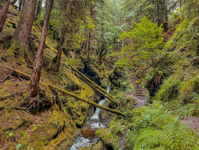 Puck's Glen Walk