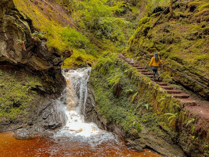 Puck's Glen Walk Scotland