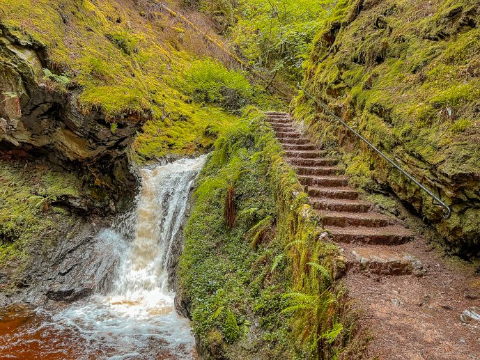 Puck's Glen Scotland