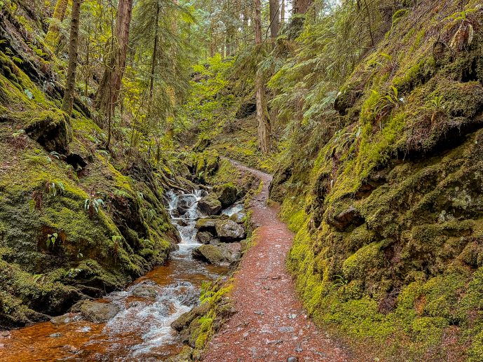 Puck's Glen Walk