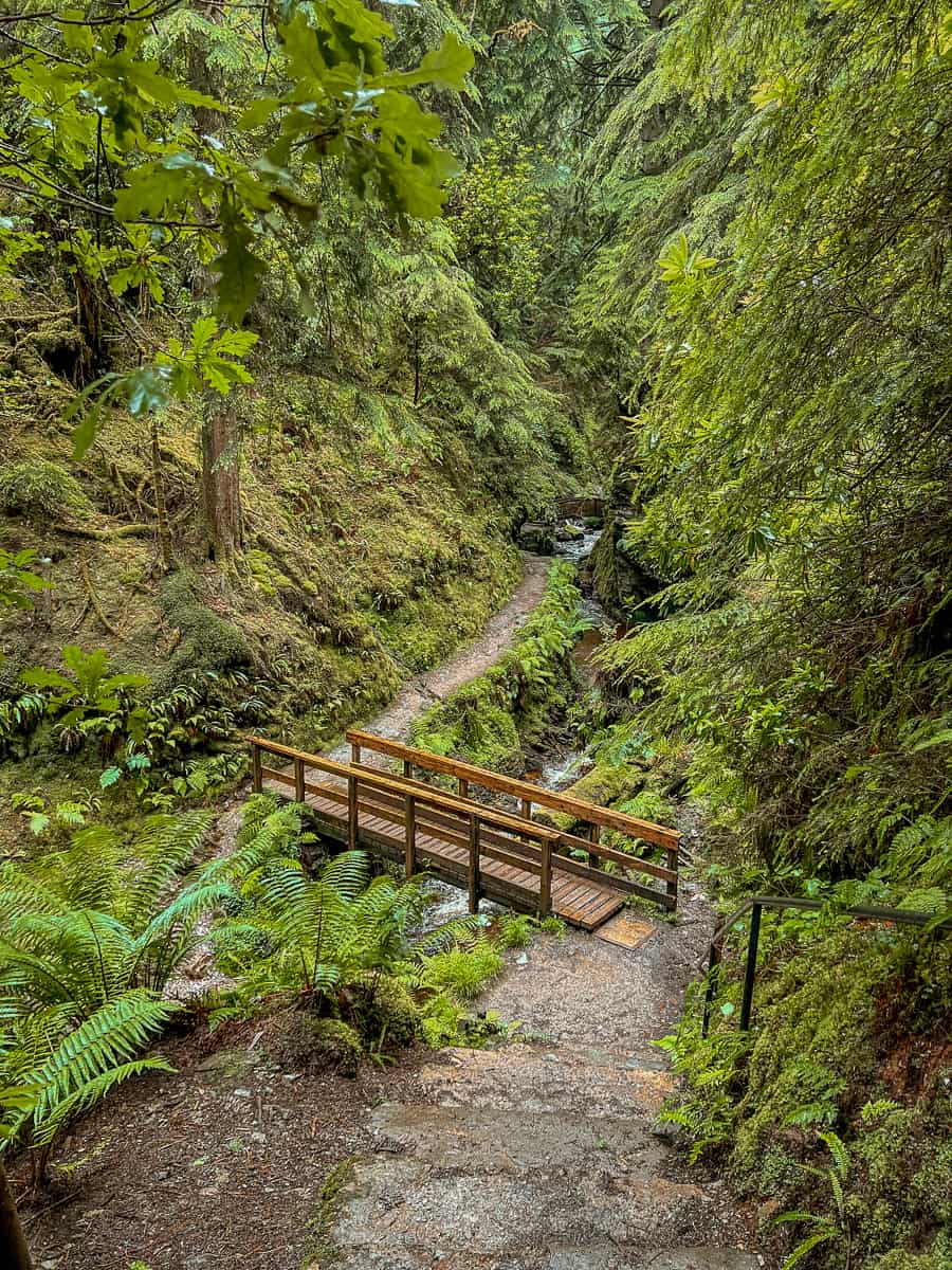 Puck's Glen Walk