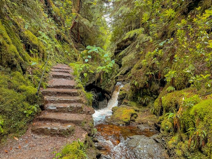 Puck's Glen Scotland