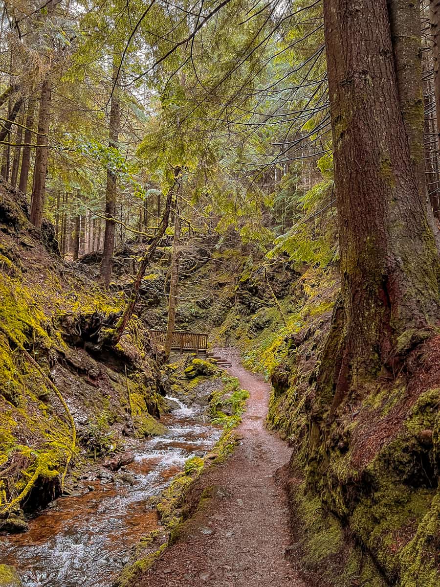 Puck's Glen Walk