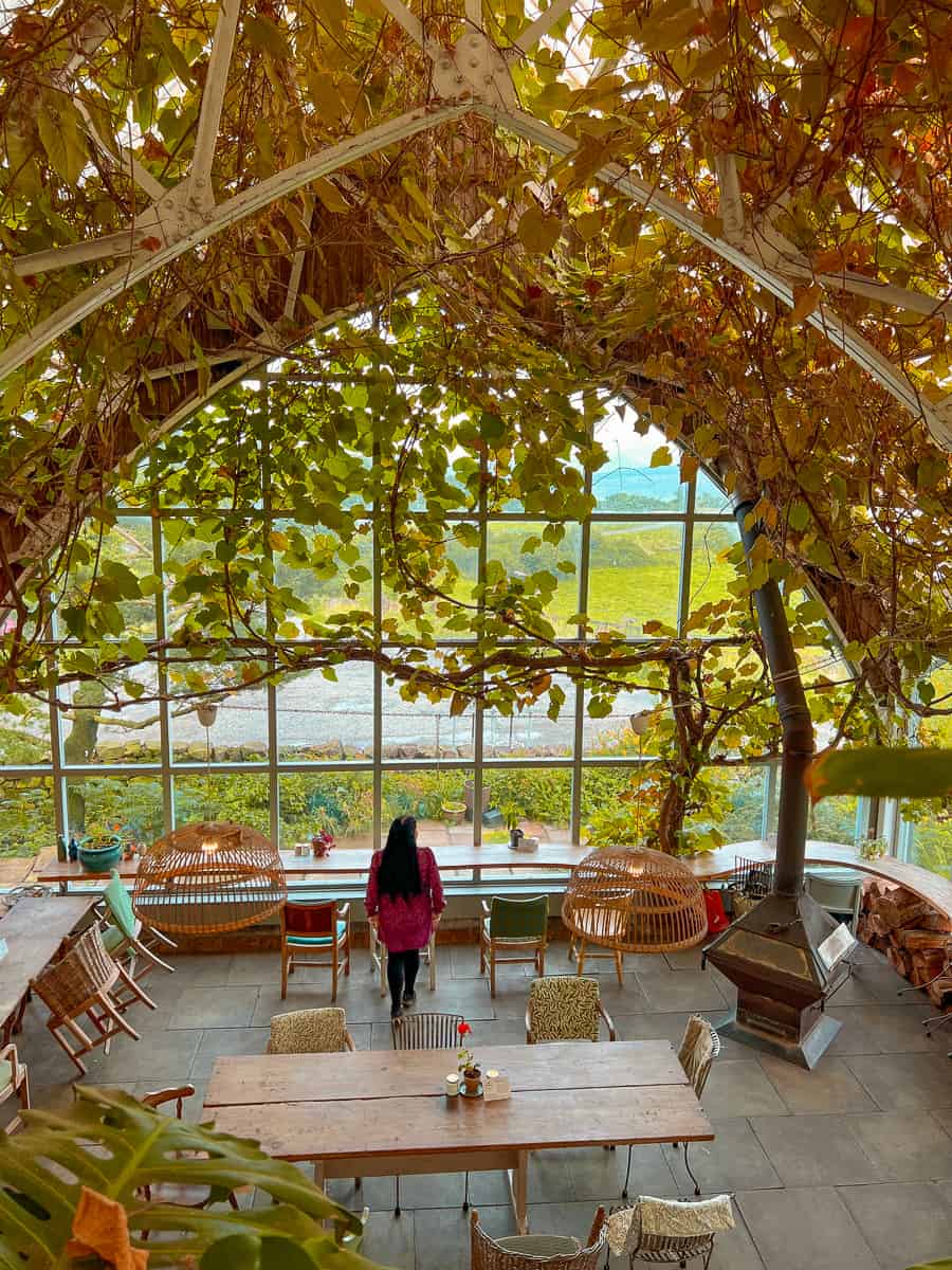 Isle of Mull Cheese Glass Barn Cafe