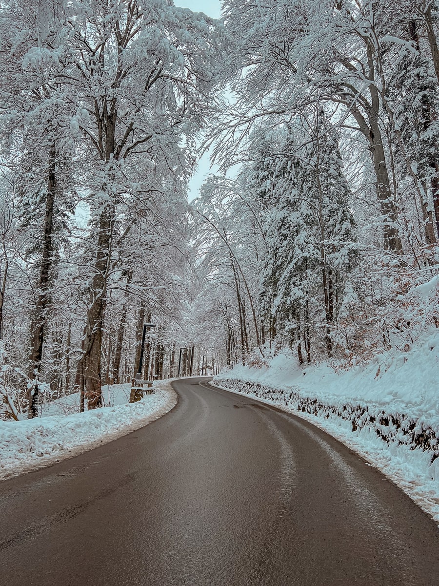 Neuschwanstein Castle in Winter