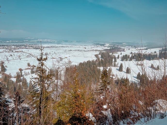 Neuschwanstein Castle in Winter