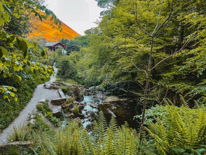 Pistyll Rhaeadr Cafe