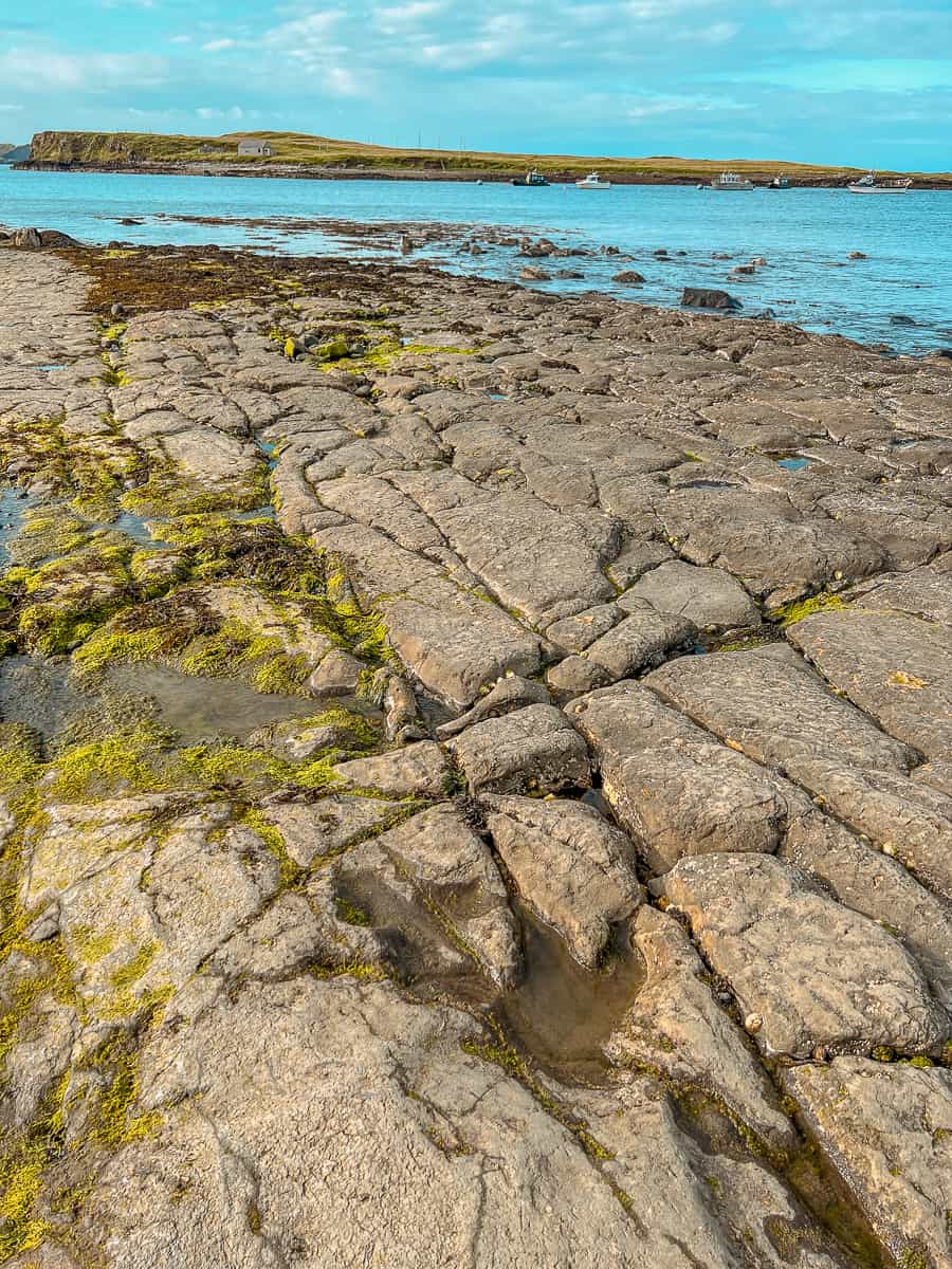 Staffin Dinosaur Footprint